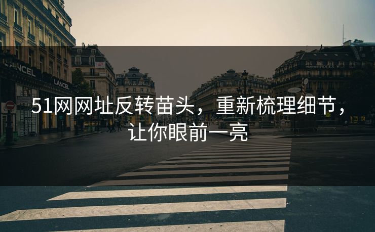 51网网址反转苗头，重新梳理细节，让你眼前一亮