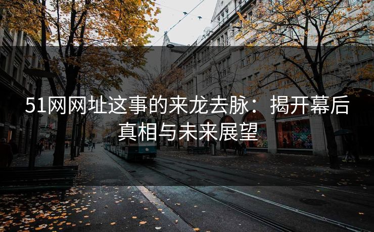 51网网址这事的来龙去脉：揭开幕后真相与未来展望
