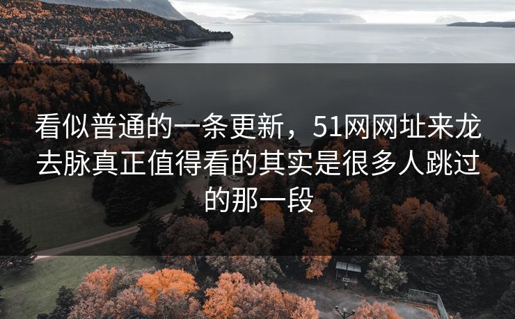 看似普通的一条更新，51网网址来龙去脉真正值得看的其实是很多人跳过的那一段