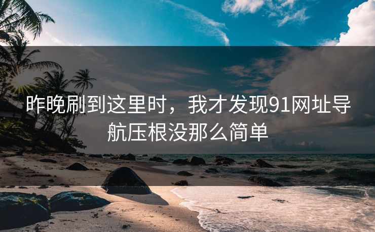 昨晚刷到这里时，我才发现91网址导航压根没那么简单