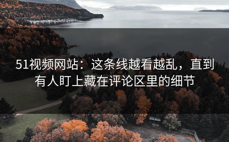 51视频网站：这条线越看越乱，直到有人盯上藏在评论区里的细节