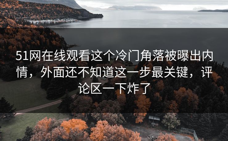51网在线观看这个冷门角落被曝出内情，外面还不知道这一步最关键，评论区一下炸了