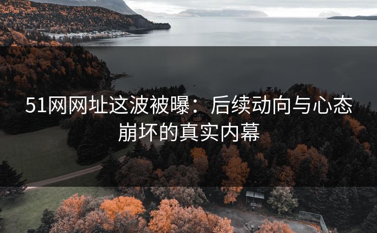 51网网址这波被曝：后续动向与心态崩坏的真实内幕
