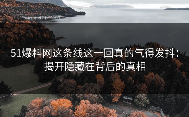 51爆料网这条线这一回真的气得发抖：揭开隐藏在背后的真相