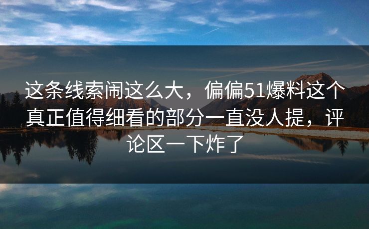 这条线索闹这么大，偏偏51爆料这个真正值得细看的部分一直没人提，评论区一下炸了