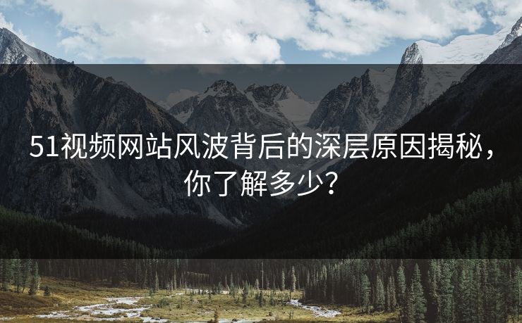 51视频网站风波背后的深层原因揭秘，你了解多少？