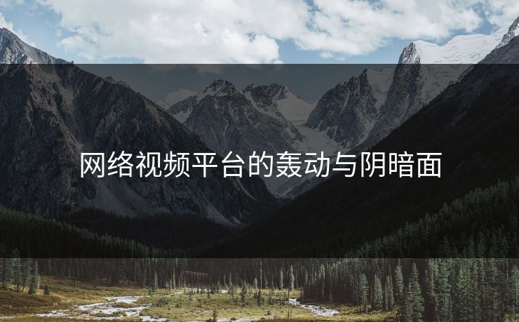 网络视频平台的轰动与阴暗面